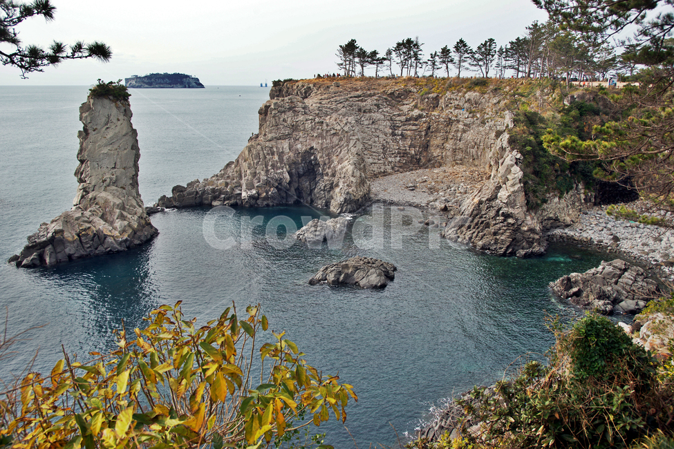 외돌개,제주도,서귀포시,자연명승,명승제79호,돌기둥,전설,장군석,제주도,jeju,jeju island,promontory,곶,outdoors,옥외,nature,자연,cliff,낭떠러지