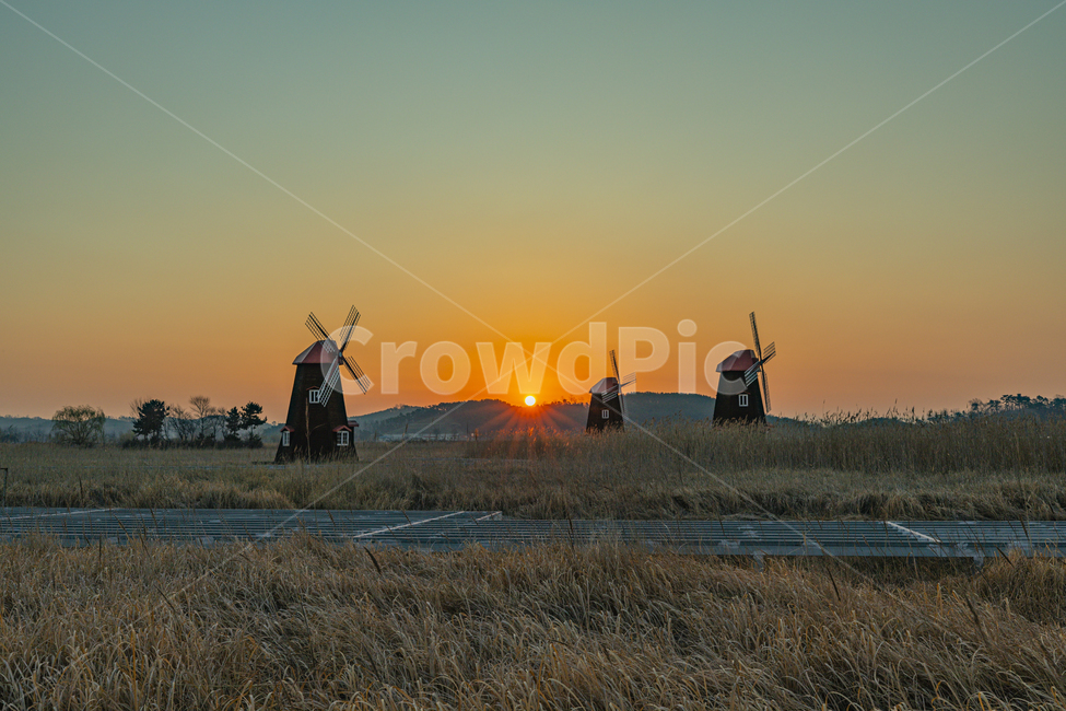 일출,생태공원,풍차,하늘,갈대,공원,sunrise,wind,netherlands,nature,windmill,sky,reed