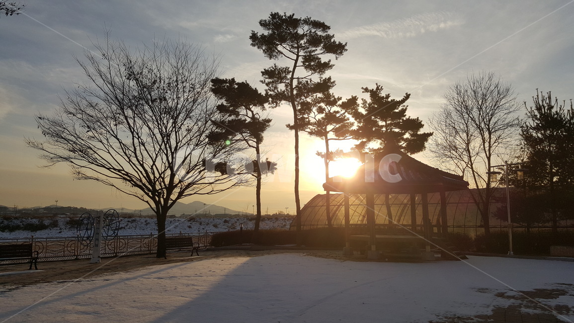 해,나무,노을,눈,하늘,자연,시골,마을,풍경,landscape,country,rural,town