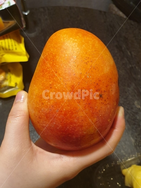 과일,열대과일,애플망고,망고,달달함,달달한과일,대만과일,맛있는과일