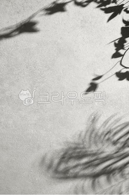 minimal,background,shadow,plant,sunlight,texture,wall,nature,minimal,background,shadow,plant,sunlight,texture,wall,nature,interior,light,clean,modern,abstract,design,natural,soft,aesthetic,calm,elegant,lifestyle,silhouette,leaf