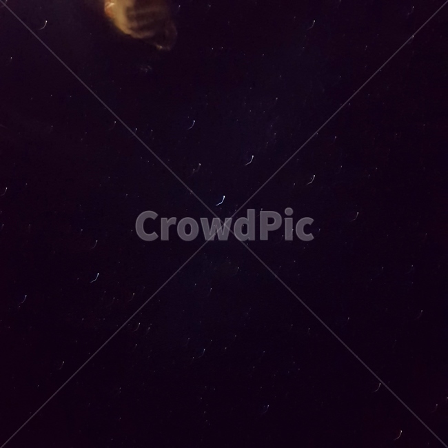 몽골하늘,은하수,밤하늘,star,sky,별,야경,밤,풍경,nightscape,night,landscape