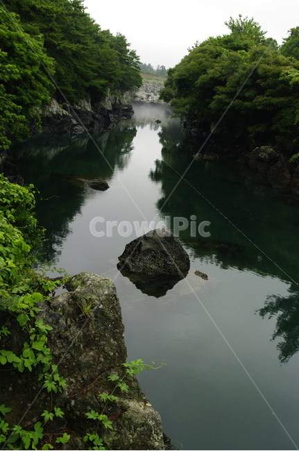 제주,쇠소깍,풍경,하천,나무,식물,자연,풍경,nature,landscape,한국자연풍경,한국자연경관,korea nature landscape,제주도,jeju,jeju island,water,물,ditch,도랑,outdoors,옥외