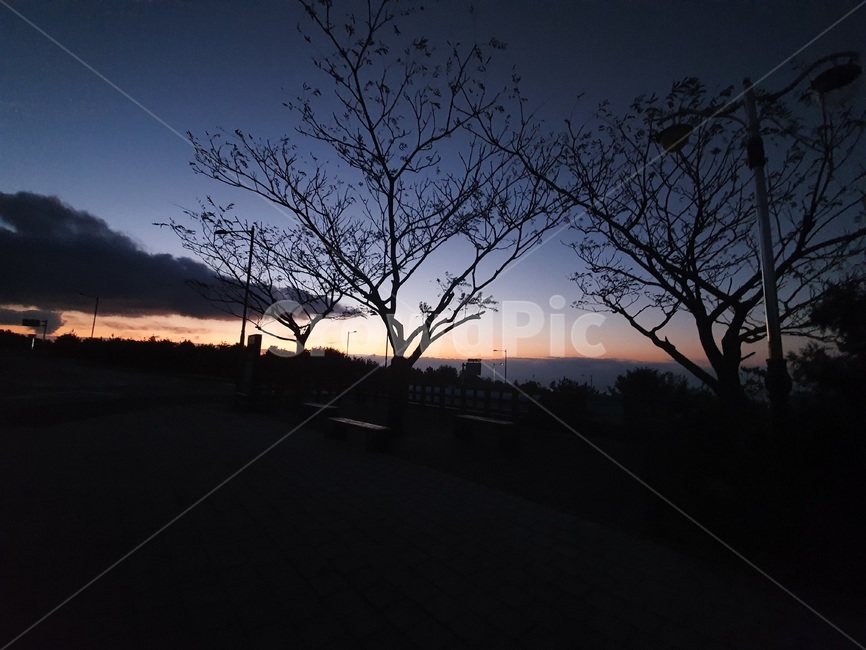 새벽녁,새벽감성,그림자,나무,구름,일출전,sky,새벽