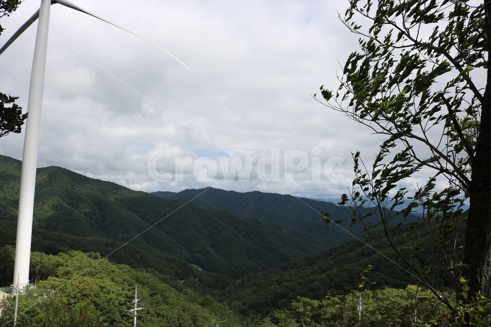 여름,휴가,강원도,산,나무,하늘,자연,풍경,식물,푸름,summer,natsu,vacation,kyuuka,mountain,yama,tree,ki,sky,sora,nature,plants,shokubutsu,초록,green,midori,산맥,구름,cloud,kumo,풍력발전기,전기,흰색,white,shiro,자연,풍경,nature,landscape,한국자연풍경,한국자연경관,korea nature landscape,산업,industry,industrial,에너지산업,energy industry,slope,경사,outdoors,옥외