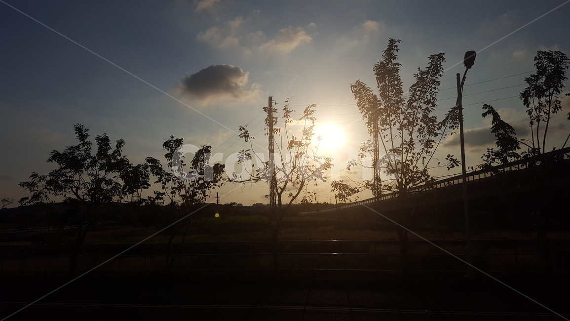 태양,노을,구름,자연,풍경,나무,하늘