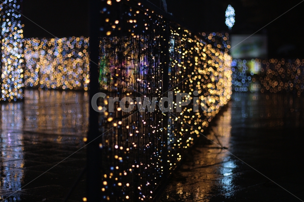 풍경,보케,불빛,비오는,반영,야경,밤,풍경,nightscape,night,landscape,비,비오는날,rain,rainy,lighting,조명