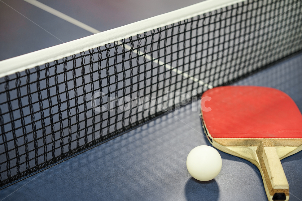 탁구,구기종목,스포츠,탁구대,tabletennis,탁구라켓,스포츠,레저,운동,sports,leisure,exercise,사물,물건,오브젝트,thing,object,matter