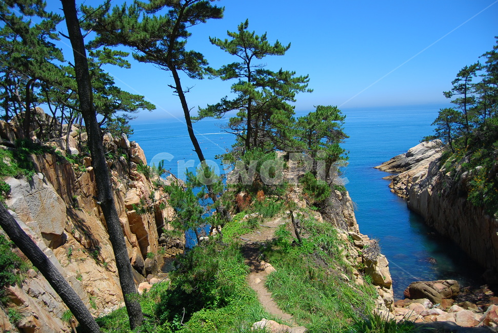 자연,바다,여름,풍경,대왕암,자연,풍경,nature,landscape,한국자연풍경,한국자연경관,korea nature landscape,식물,plants,나무,trees,wood,land,땅,outdoors,옥외,water,물,shoreline,해안선,ocean,대양,sea,coast,연안