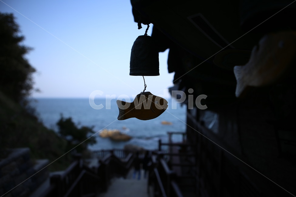 하늘,바다,물고기,종,처마,sky,sea,fish
