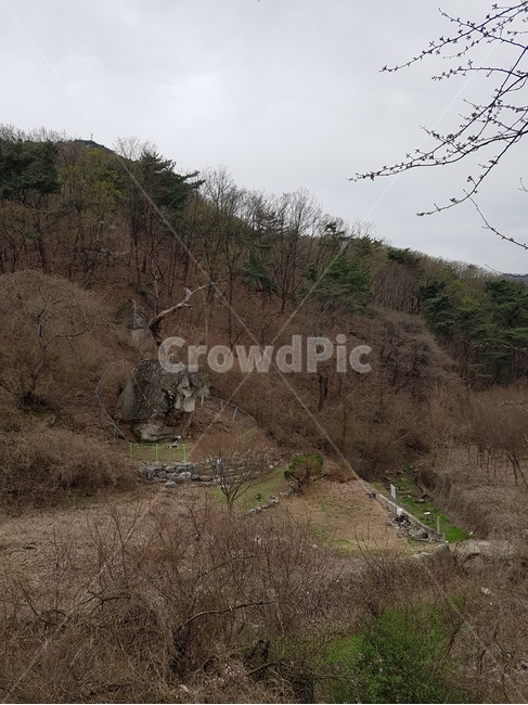 산,겨울,봄,자연,새순