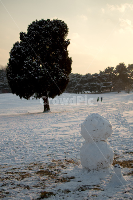 nature,자연,outdoors,옥외,snow,눈,winter,겨울,snowman,눈사람,안경,역광,올림픽공원,두개,두사람,겨울,계절,winter,season