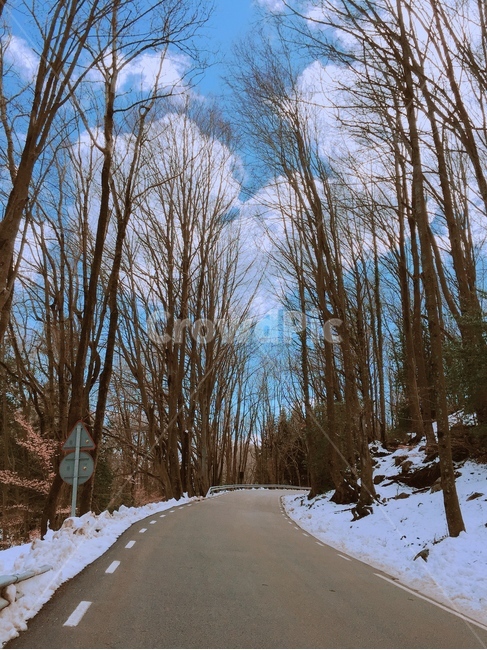 겨울,눈,등산,하늘,나뭇가지