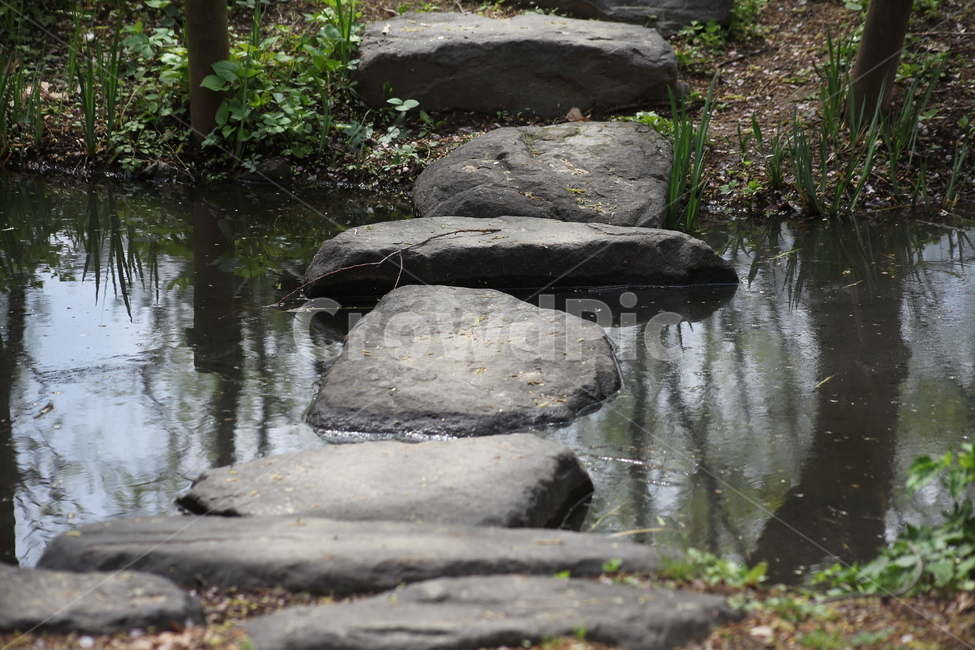 징검다리,섬돌,다리,디딤돌,steppingstone,징금다리
