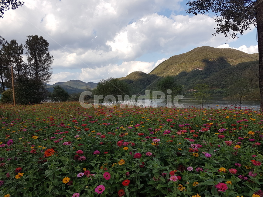 outdoors,옥외,nature,자연,들