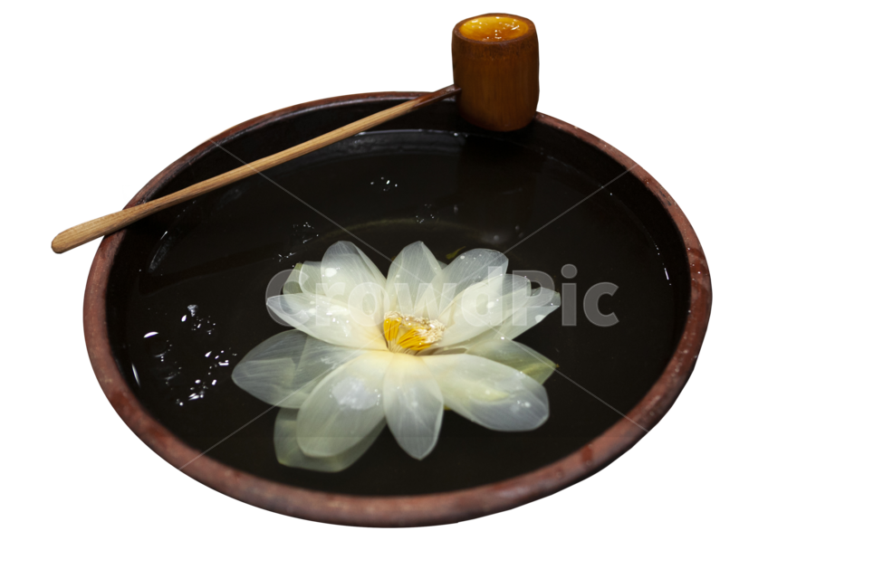 png,차,다도,연꽃,연꽃차,녹차,한국전통,한국문화,korean traditional,korean culture,음료수,drink,beverage,누끼,remove background
