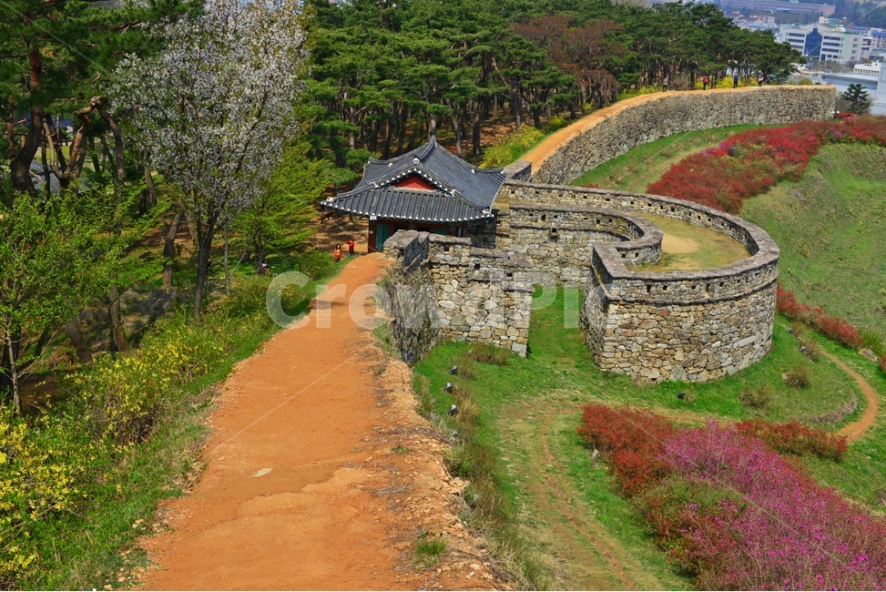 고창,고창읍성,모양성,봄,벚꽃,철쭉,철쭉꽃,계절,scenery,풍경,landscape,경치,nature,자연,outdoors,옥외,plant,식물,flower,blossom,꽃,human,인간,person,사람