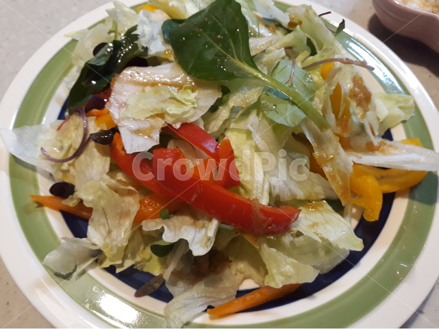 음식,food,샐러드,salad,건강,다이어트,식이요법,채소,vegetable,delicious,맛,식사,야채,diet,건강,헬스웨어,헬스케어,healthware,health care,음식,식재료,요리,food,cook,meal,dishes,food reserves,채소,야채,vegetables