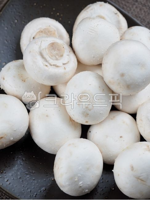 양송이,양송이버섯,버섯,채소,자연식품,건강한식생활,야채,음식,채식,자연음식,요리재료,흰색,whitemushroom,wellbeingfood,vegetable,mushroom,food,vegetariandiet,naturalfood,cookingingredients