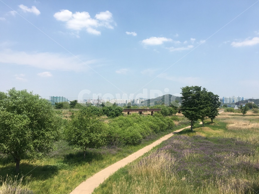 맑은날,풍경,자연,봄,여름