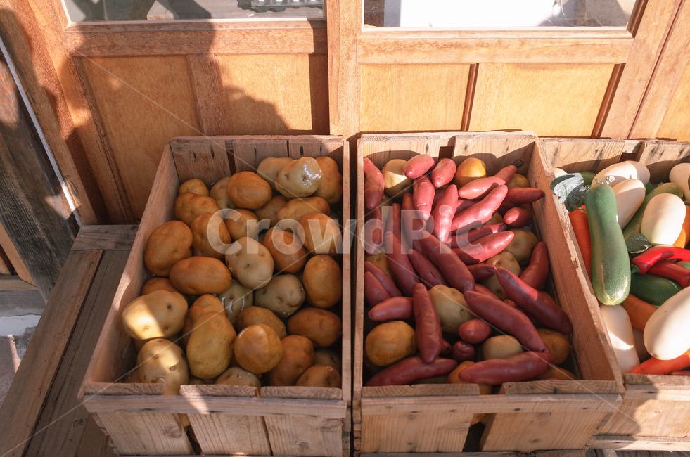 감성사진,가을,고구마,감자,풍경