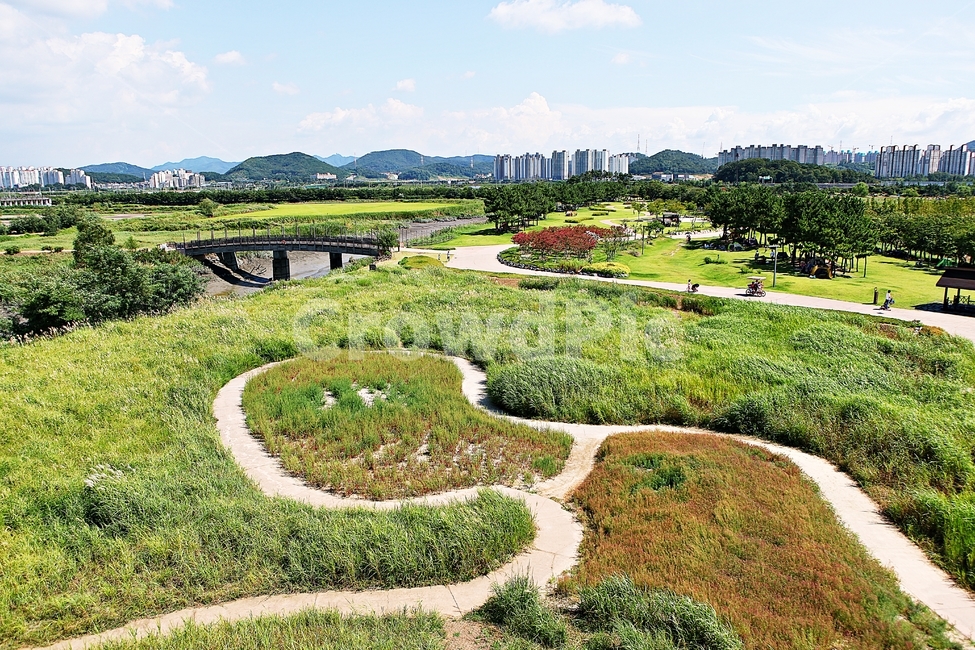 시흥갯골생태공원,공원,식물,자연,풍경,갈대,잡초,여름,게절,자연,풍경,nature,landscape