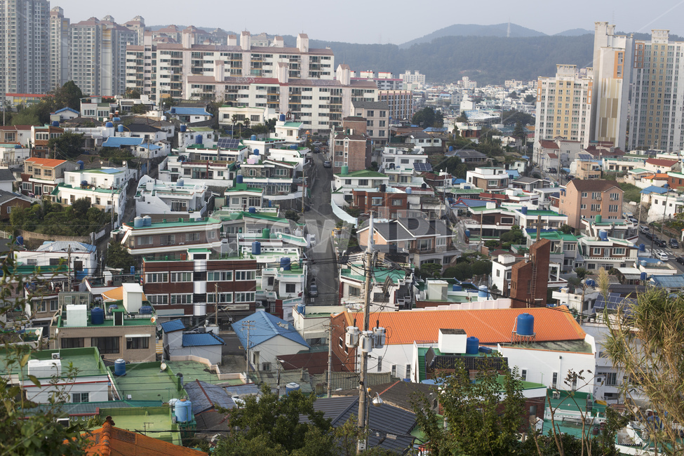 통영,동피랑,마을,동피랑마을,벽화마을,풍경,주택,도시,풍경,city,landscape
