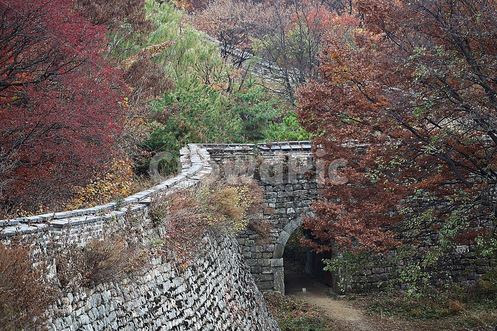 남한산성,성,성곽,단풍,낙엽,길,둘레길,숲,숲길,담,돌담,가을,자연,풍경,벽,울긋불긋,산성,식물,가을,계절,fall,autumn,season