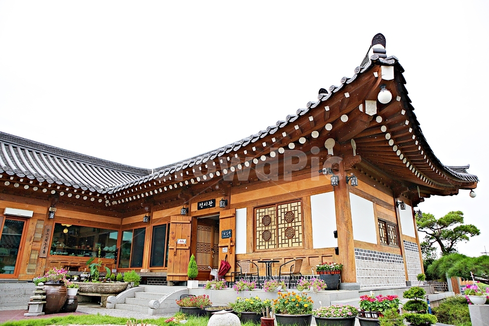 도솔미술관,미술관,한옥,한옥집,전통집,기와집,집,풍경,자연,식물,나무
