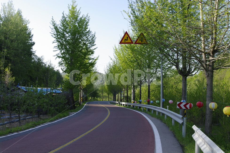 도로,길,가로수,신록,초록,나무,식물,plant,자연,풍경,nature,landscape,road,highway,고속도로,freeway,고속 도로