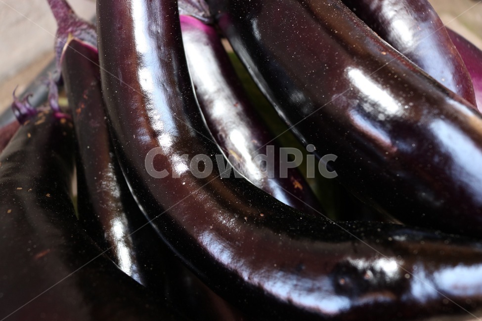 가지,식물,채소,보라,branch,eda,plants,shokubutsu,vegetable,yasai,purple,murasaki,음식,식재료,요리,food,cook,meal,dishes,food reserves,채소,야채,vegetables
