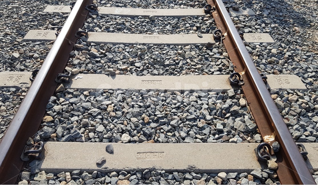 봄,철길,기차역,기차,경화역,교통,교통수단,traffic,transportation,train track,기찻길,railway,철도,rail,레일