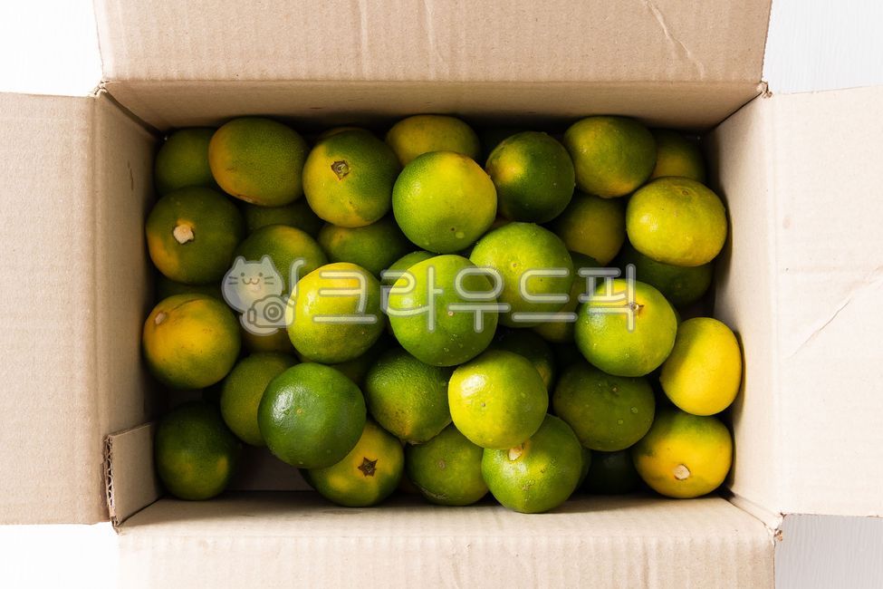 귤,청귤,햇귤,감귤,풋귤,초록귤,초록색,상자,과일박스,청귤박스,과일,제주특산물,귤박스,제주도특산물,비타민,비타민c,음식,식재료,요리,food,cook,열매,fruit,식품,grapefruit,상큼,green