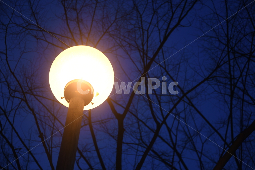 가로등,밤,빛,야경,어둠,야경,밤,풍경,nightscape,night,landscape