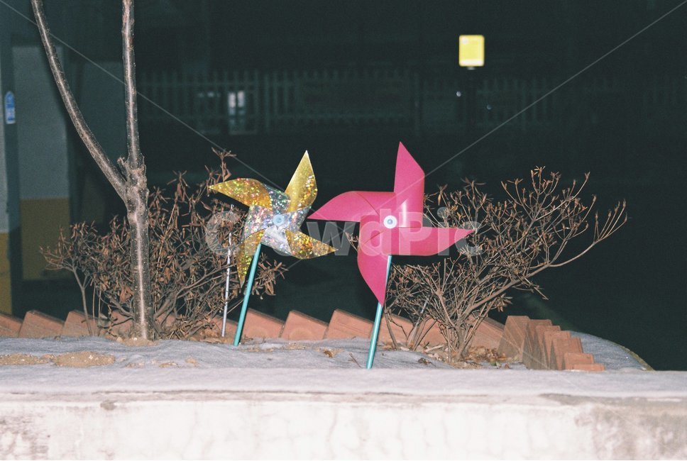 바람개비,밤,겨울,눈,필름,야간,동심