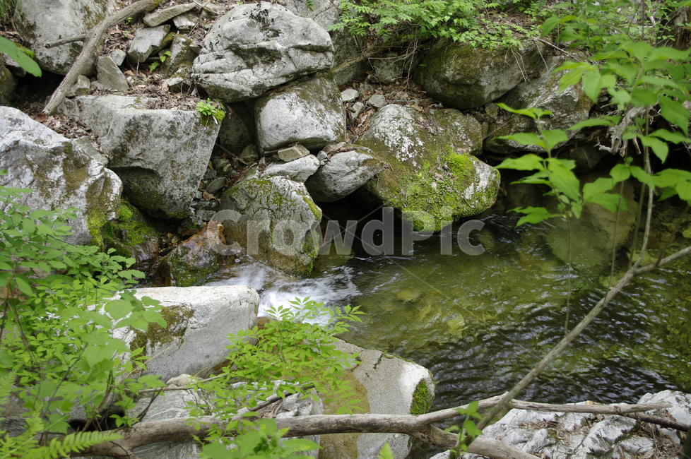 바위,산,계곡,물,나무,식물,자연,풍경,nature,landscape,water,outdoors,옥외