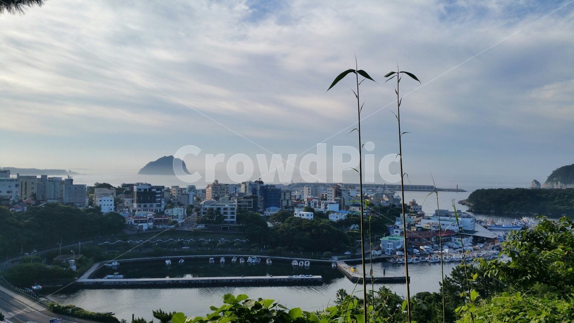 제주풍경,칠십리공원,제주칠십리공원,바닷가마을,서귀포관광명소,도시,풍경,city,landscape
