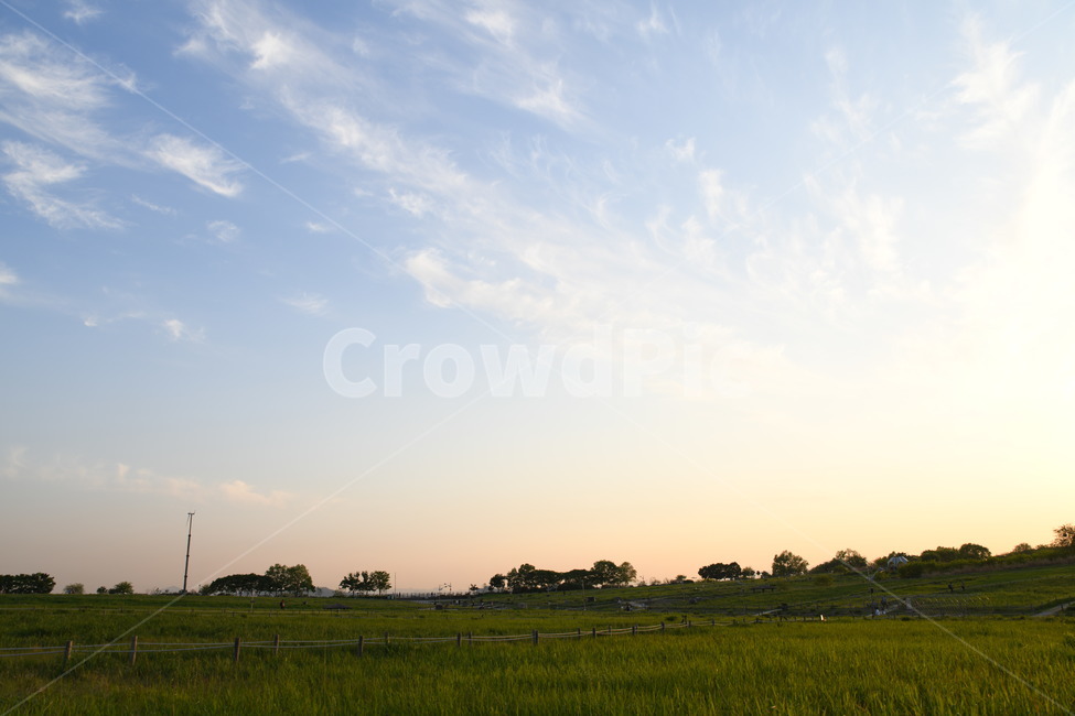 일몰,grassland,outdoors,옥외,nature,자연,자연,풍경,nature,landscape,목초지,field,들,paddy field,패디 필드