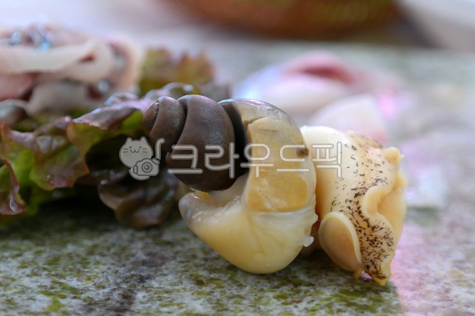 골뱅이,백골뱅이,음식,요리,식재료,수산물,해물,해산물,골뱅이찜,찜요리,통골뱅이,어패류,삶은,seasnail,food,ingredient,seafood,steamed,fish,shellfish,boiled