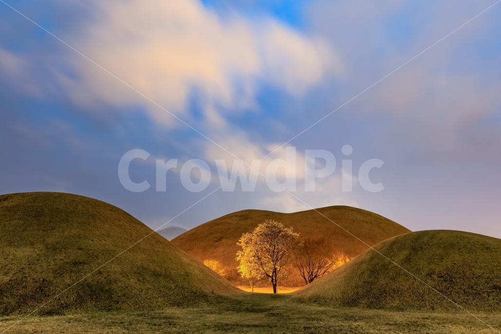 자연,풍경,하늘,구름,야경,천년고도,경주,대릉원,목련,자연,풍경,nature,landscape,랜드마크,landmark,tourist attraction,한국전통,한국문화,korean traditional,korean culture,field,들,outdoors,옥외,grassland,목초지,mound,투수판