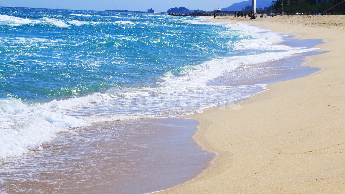 강릉,강릉바다,해변,바닷가,파도,해변,바다,beach,sea