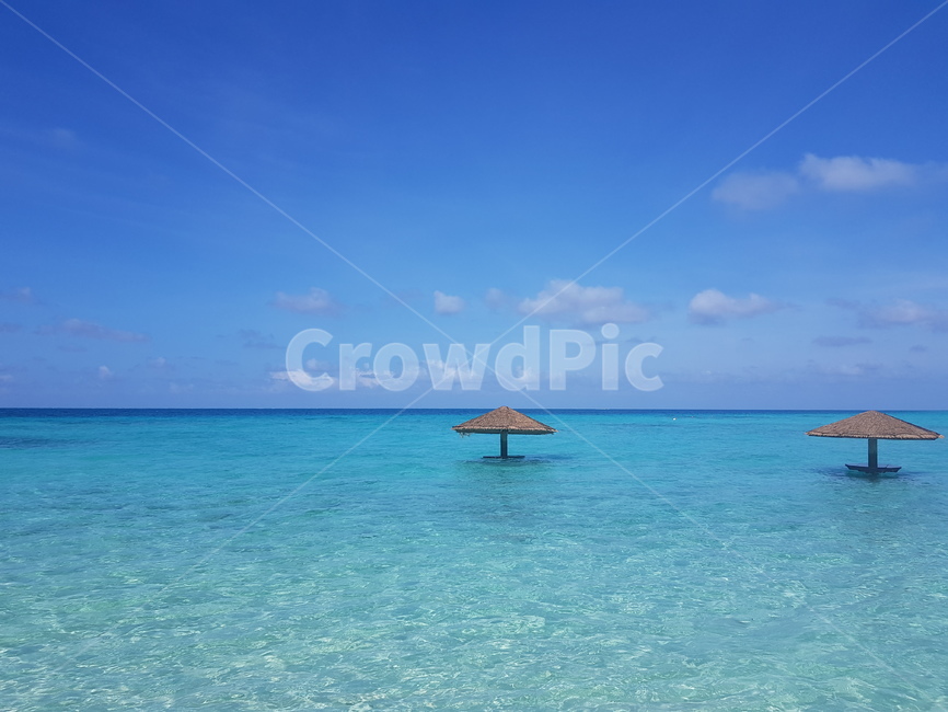 바다,ocean,대양,nature,자연,해안선,shoreline,sea,물,water,maldives,파라솔,beach,beachparasol