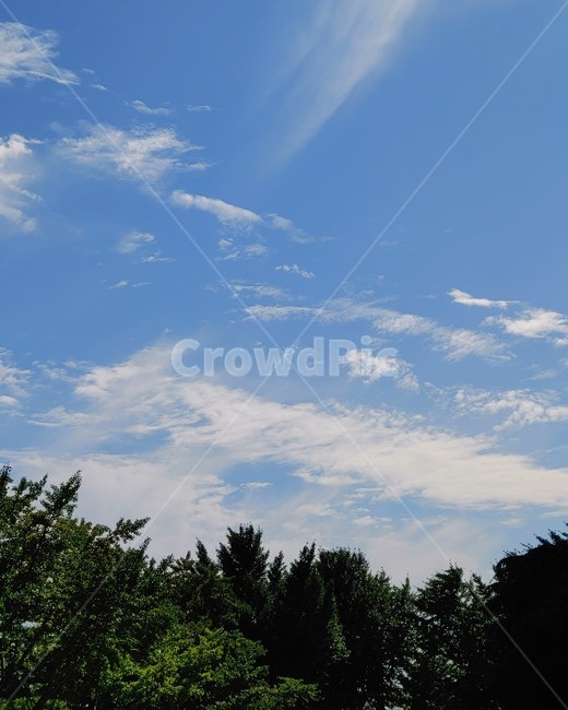 nature,자연,scenery,풍경,landscape