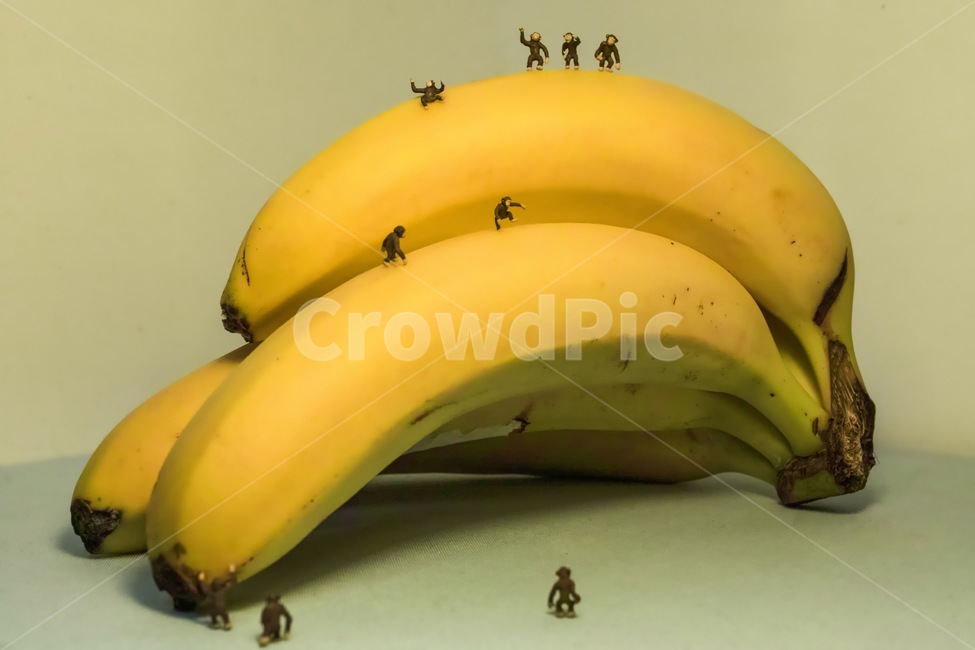 바나나,원숭이,banana,monkey,미니어처,과일,fruit,동물,동물원,zoo,간식,음식,식재료,요리,food,cook,meal,dishes,food reserves,과일,열매,fruit