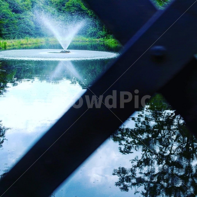 분수,호수,물,하늘,나무,초원,반사,여름,계절,summer,season,water