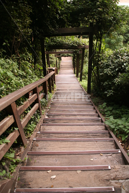 계단,자연,산책,길,stair,nature,way,자연,풍경,nature,landscape