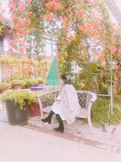 식물,의자,여자,뒷모습,식물원