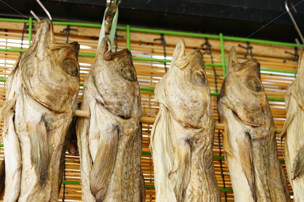 명태,건어물,생선,북어,먹거리,찬,반찬,마른생선,일상,사진,국거리,fish,음식,식재료,요리,food,cook,meal,dishes,food reserves,수산물,해산물,fishery products,seafood