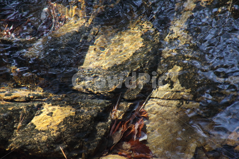 물,얼음,겨울,추위,ice,자연,풍경,nature,landscape,rock,록,outdoors,옥외