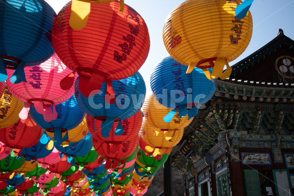 부처님오신날,부처님,연등,절,buddha,종교,신앙,religion,belief,faith